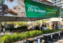Capital celebra Semana da Árvore com a distribuição de 10 mil mudas Capital celebra Semana da Árvore com a distribuição de 10 mil mudas