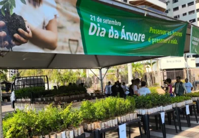 Capital celebra Semana da Árvore com a distribuição de 10 mil mudas Capital celebra Semana da Árvore com a distribuição de 10 mil mudas