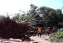 PrefCG avança em mobilidade, educação, regularização e atendimento pós-temporal PrefCG avança em mobilidade, educação, regularização e atendimento pós-temporal
