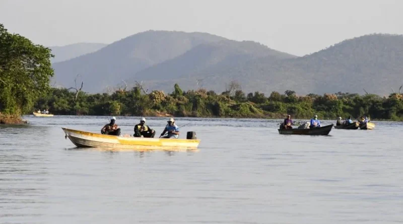 Piracema: fiscalização nos rios do Estado será reforçada durante período de pesca proibida