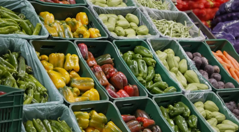 SES lança painel para monitorar situação alimentar e nutricional nos municípios de MS
