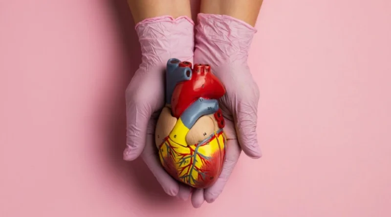 A cada 72 segundos, uma pessoa morre por doenças cardiovascular no Brasil A cada 72 segundos, uma pessoa morre por doenças cardiovascular no Brasil