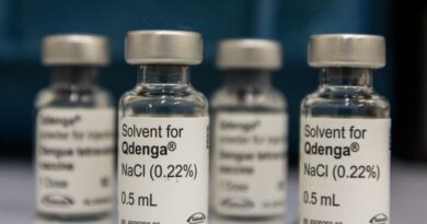 Dengue: 3 milhões de adolescentes estão com vacinação incompleta Dengue: 3 milhões de adolescentes estão com vacinação incompleta