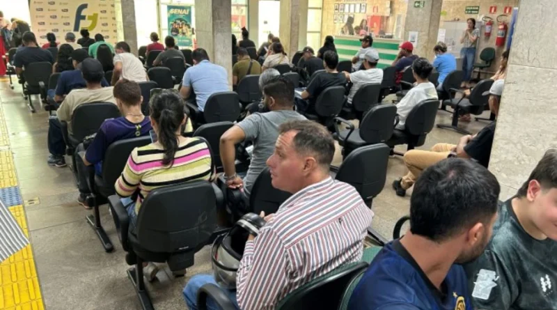 Vagas de emprego: Funtrab realiza processo seletivo com Eldorado na área de silvicultura em novembro