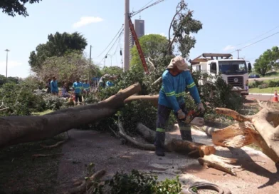 Repasse de R$ 496 mil autorizado pela união será destinado a ações emergenciais da defesa civil em Campo Grande