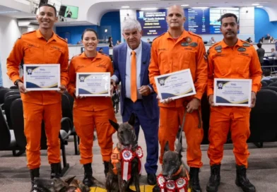 Vereador Veterinário Francisco homenageia cães do Corpo de Bombeiros de MS após certificação nacional Vereador Veterinário Francisco homenageia cães do Corpo de Bombeiros de MS após certificação nacional